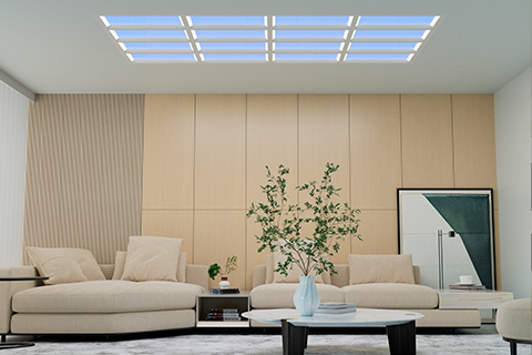 Xin Guang Yuan (Soilse Nua) Soilse Teicneolaíocht Soilse, Ltd.